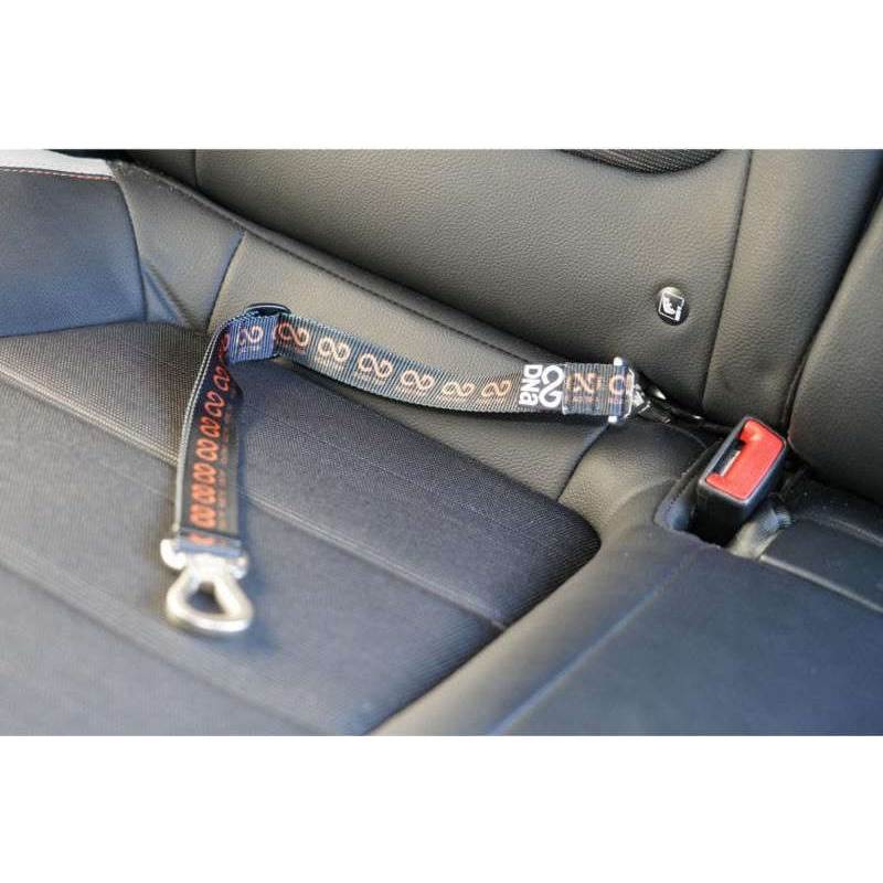 DNA Dogwear Road Trip Anchor Tether-2