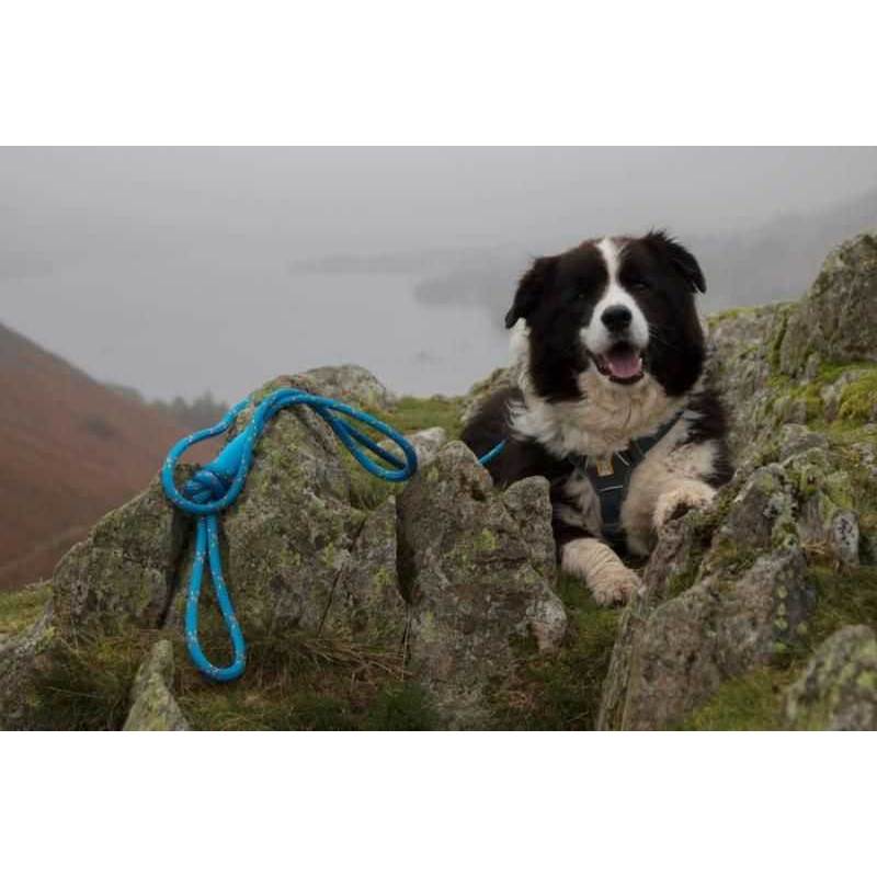 DNA Dogwear Ascent Sherpa Dog Lead-3