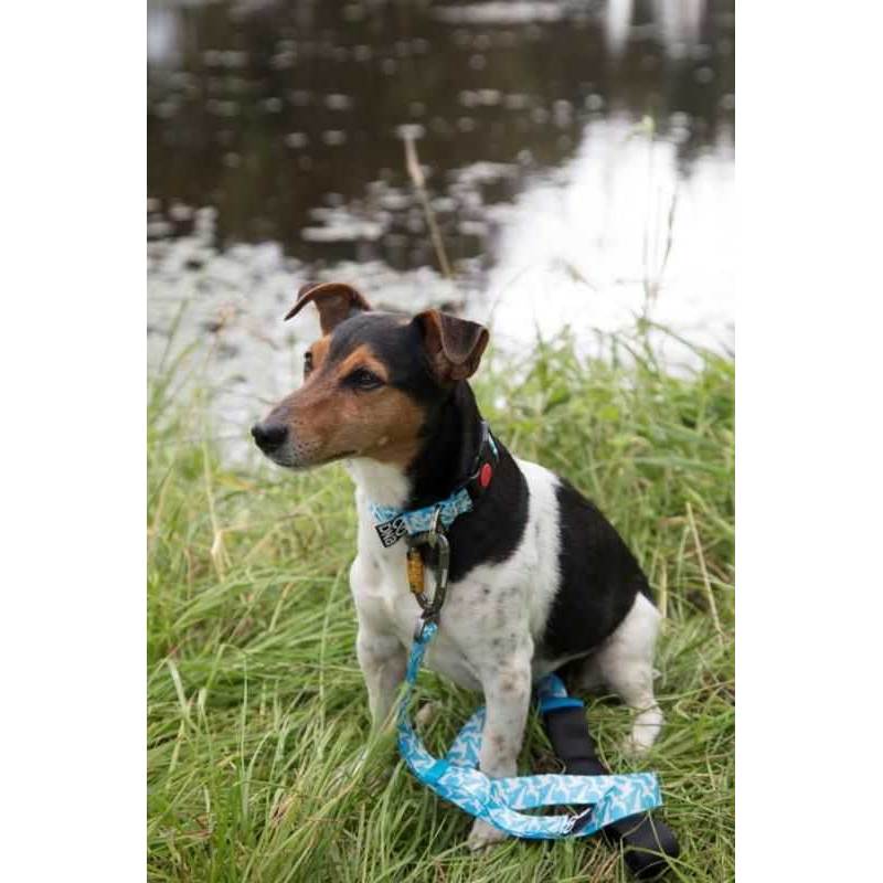 DNA Dogwear Summit Dog Lead-1