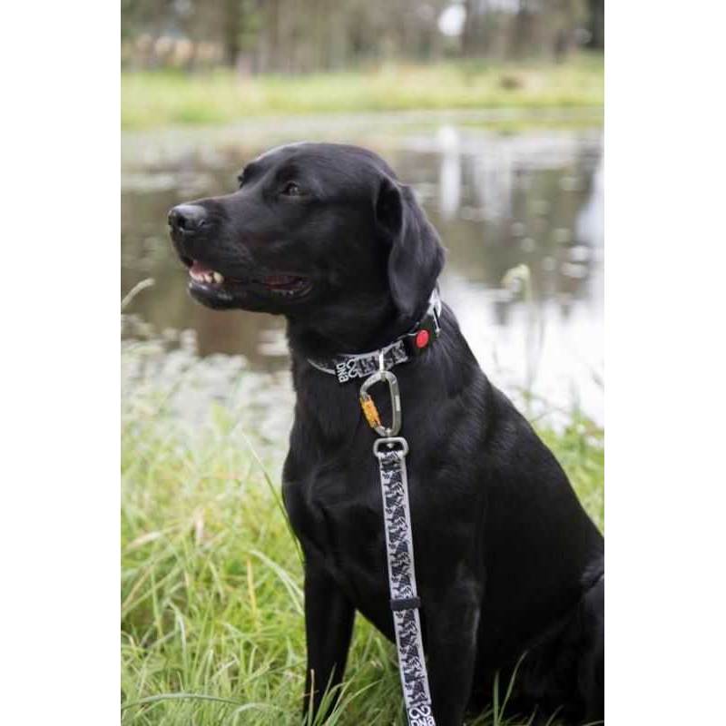 DNA Dogwear Summit Dog Lead-2