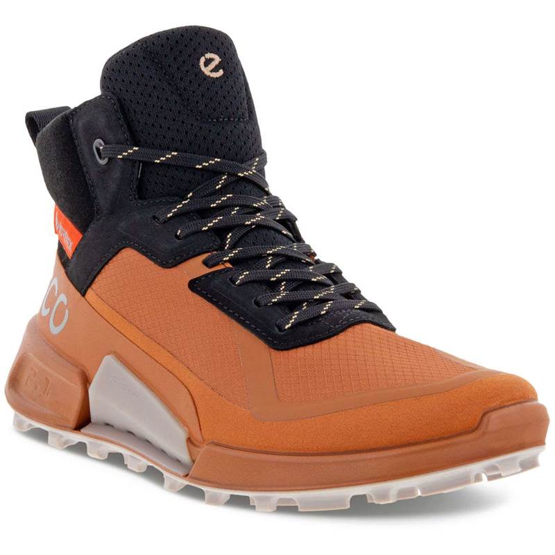 ECCO Womens Biom 2.1 X MTN Mid Gore-Tex Boots-1