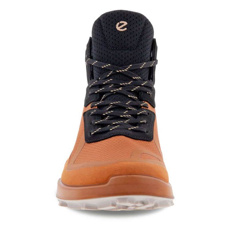 ECCO Womens Biom 2.1 X MTN Mid Gore-Tex Boots-2