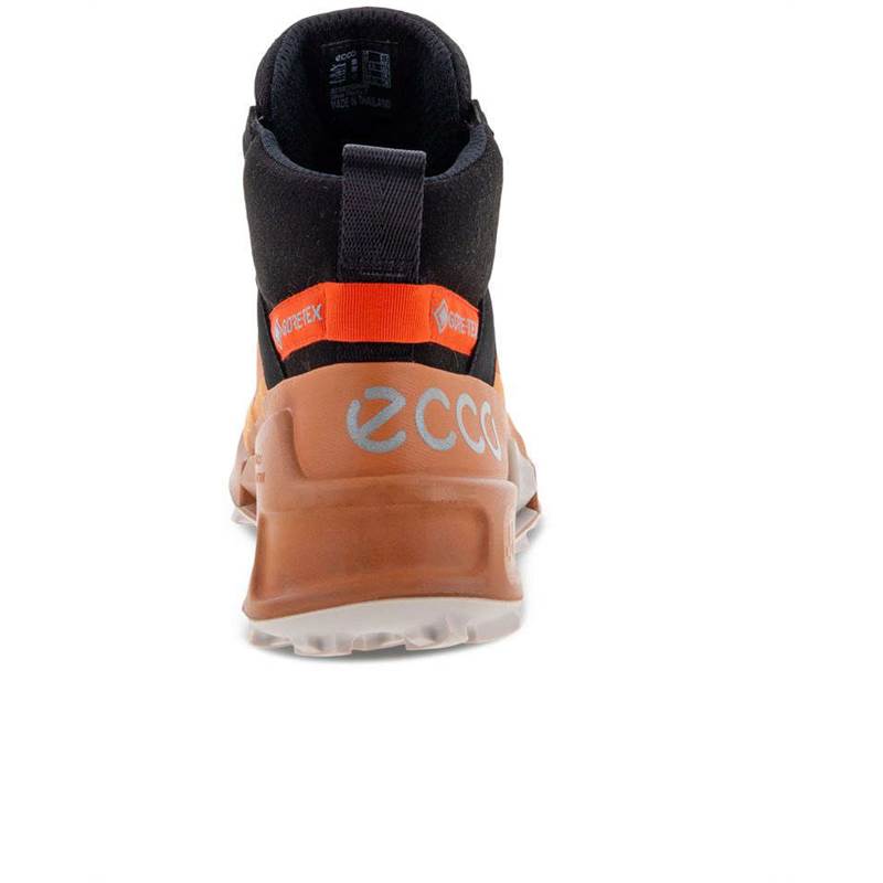 ECCO Womens Biom 2.1 X MTN Mid Gore-Tex Boots-4