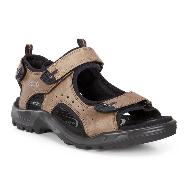 ECCO Mens Andes II Sandals-1