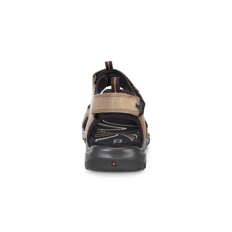 ECCO Mens Andes II Sandals-3