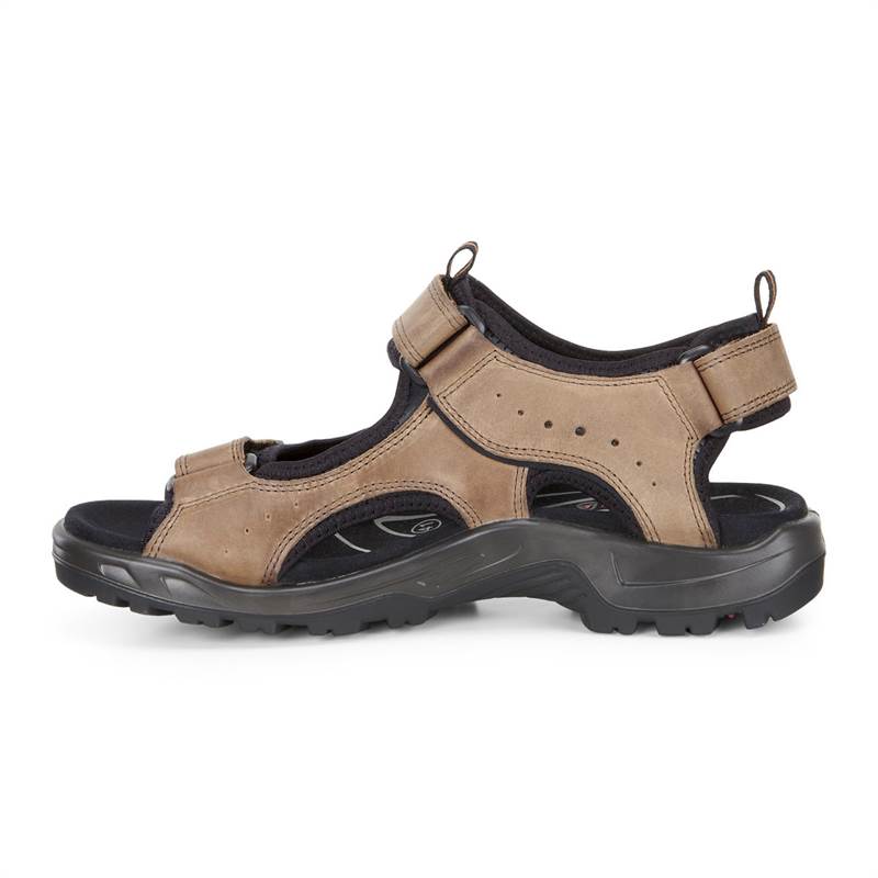 ECCO Mens Andes II Sandals-4