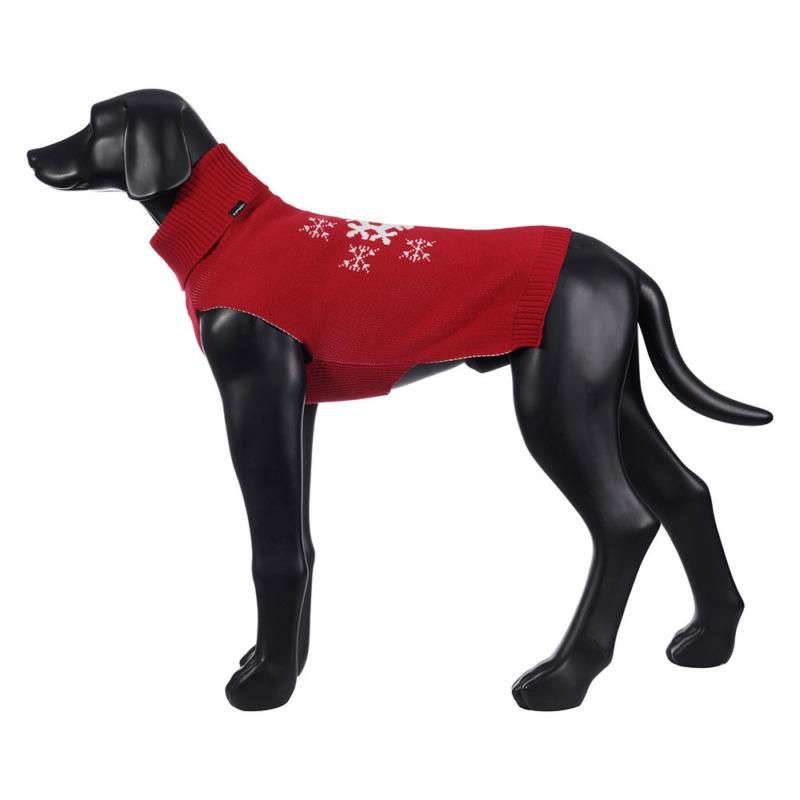 Icepeak Jolly Dog Sweater-2