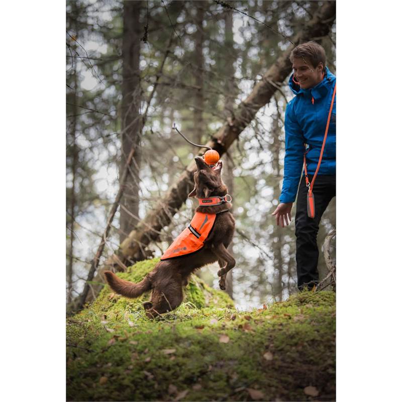 Icepeak Prozone Reflect Dog Vest-5