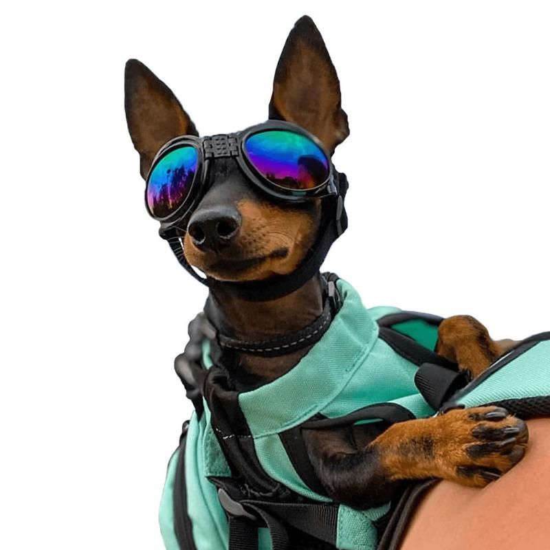 K9 Sport Sack Dog Goggles-4