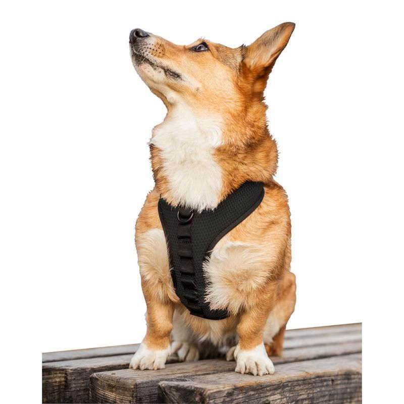 K9 Sport Sack Dog Harness-2