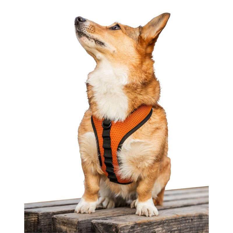 K9 Sport Sack Dog Harness-4