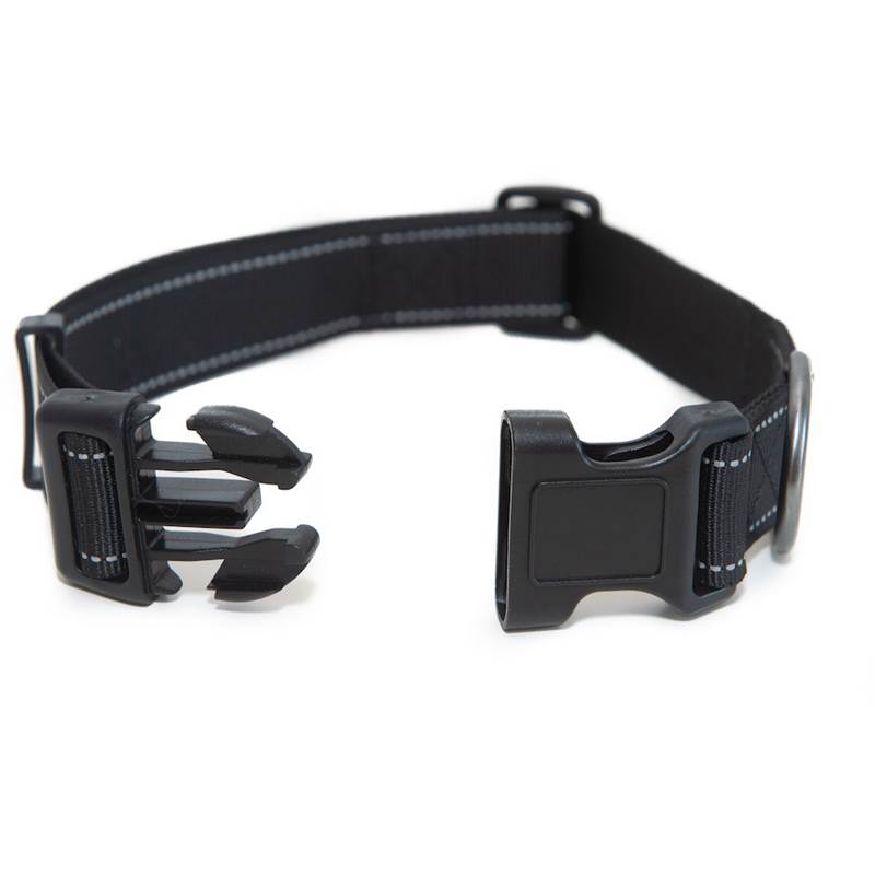 Long Paws Urban Trek Small Dog Collar-1