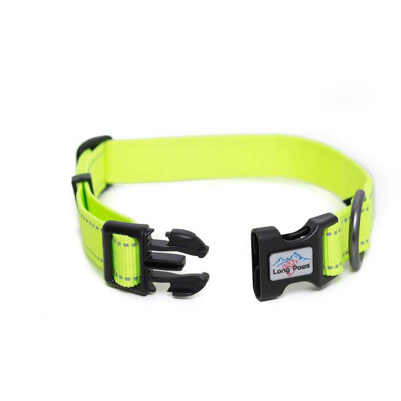 Long Paws Urban Trek Small Dog Collar-3