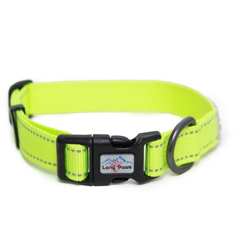 Long Paws Urban Trek Small Dog Collar-4