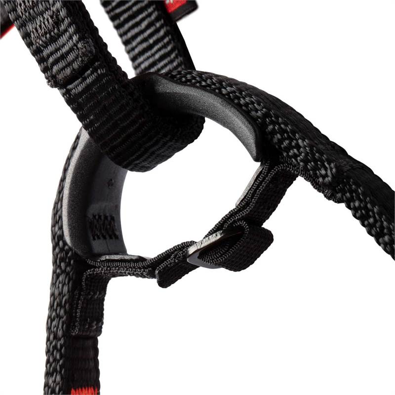 Mammut Nordwand Harness-3