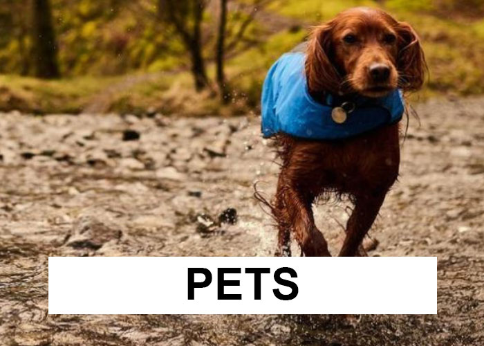 Pets