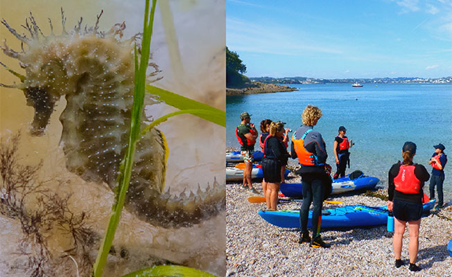 Save Our Seagrass