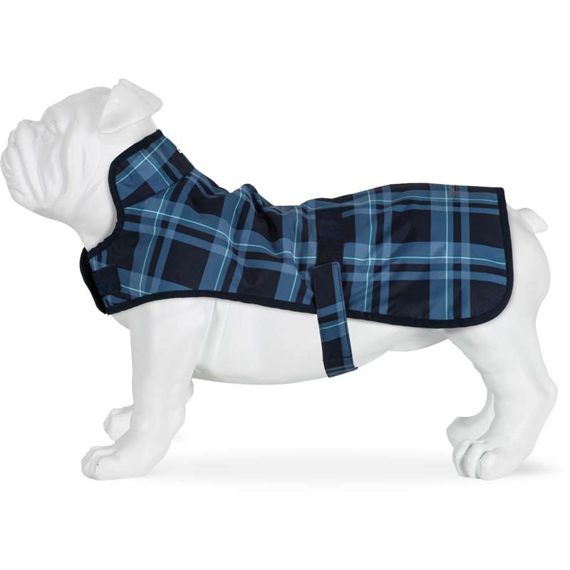 Regatta Arlo Dog Coat-3