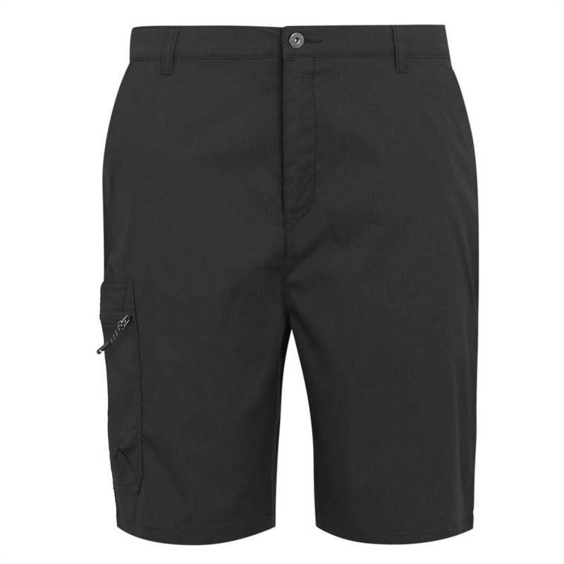 Regatta Mens Dalry Multi Pocket Shorts-2