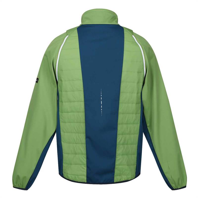 Regatta Mens Steren Hybrid II Softshell Jacket-2