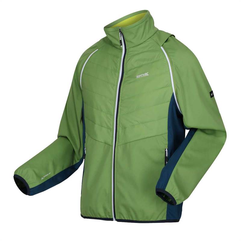 Regatta Mens Steren Hybrid II Softshell Jacket-3