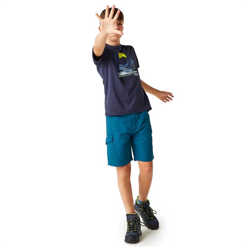 Regatta Kids Alvardo VIII Graphic T-Shirt-4