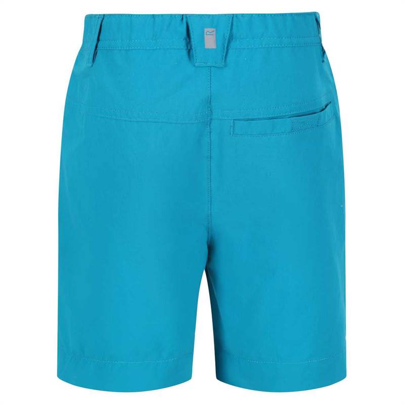 Regatta Kids Highton Walking Shorts-3