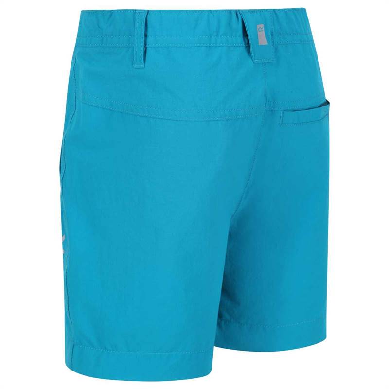 Regatta Kids Highton Walking Shorts-4