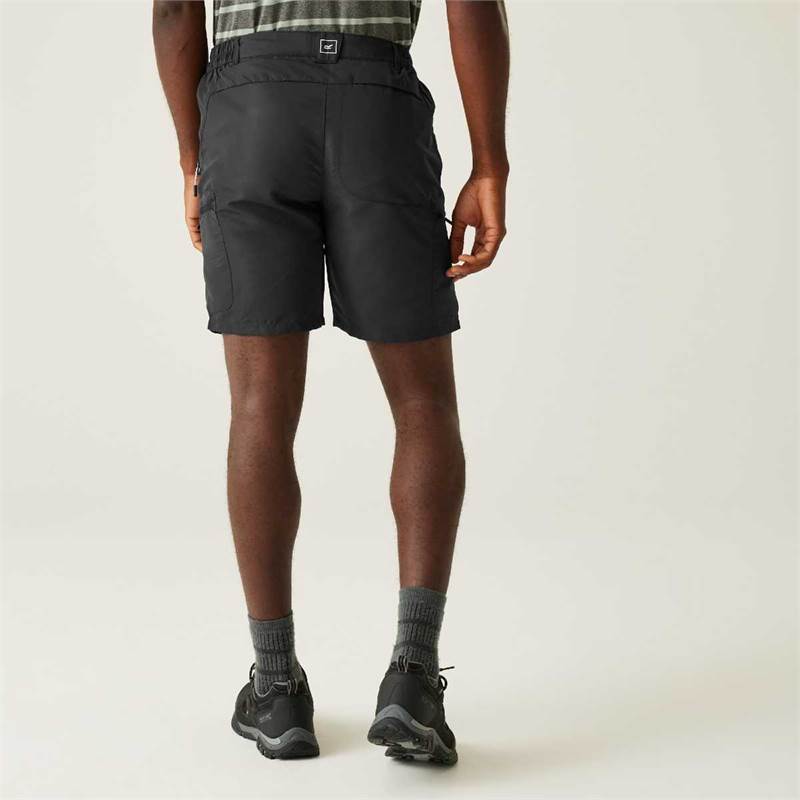 Regatta Mens Leesville Shorts III-4