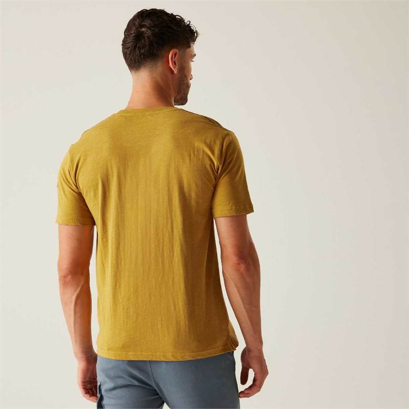Regatta Mens Ravia T-Shirt-4