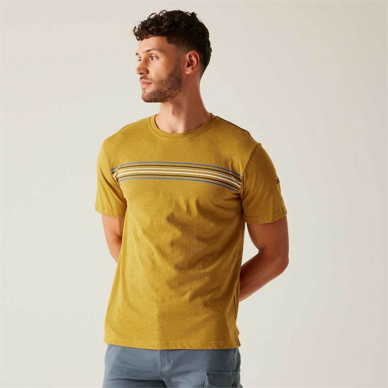 Regatta Mens Ravia T-Shirt-5