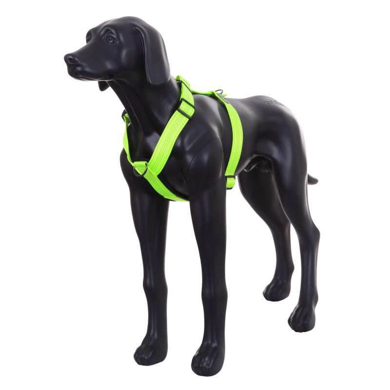 Rukka Pets Form Neon Dog Harness-2