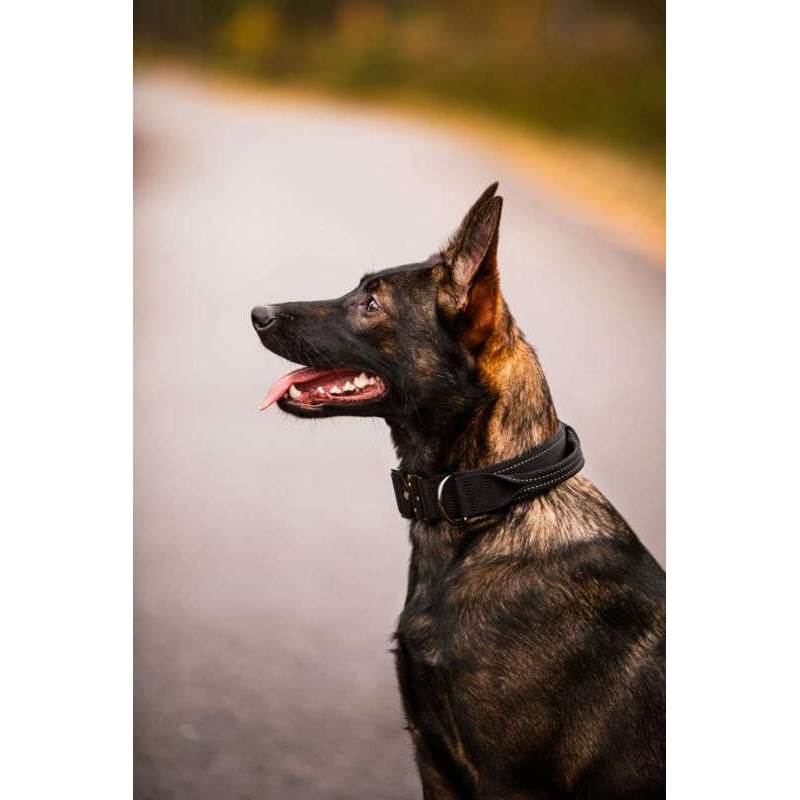 Rukka Pets Mission Dog Collar-3