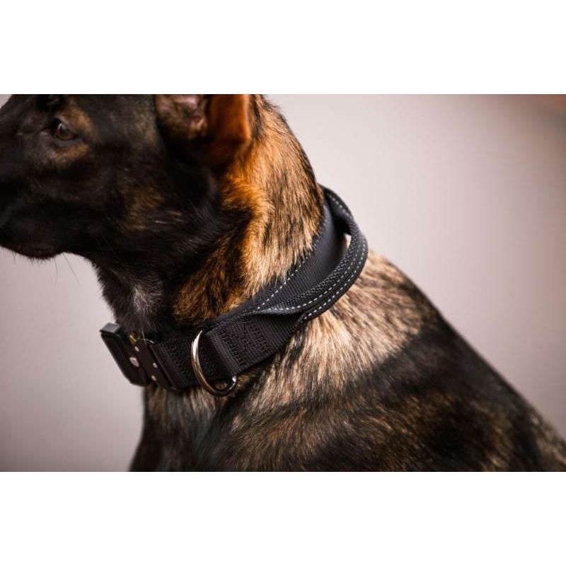 Rukka Pets Mission Dog Collar-4