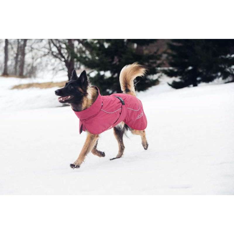 Rukka Pets Stormy Dog Coat-2