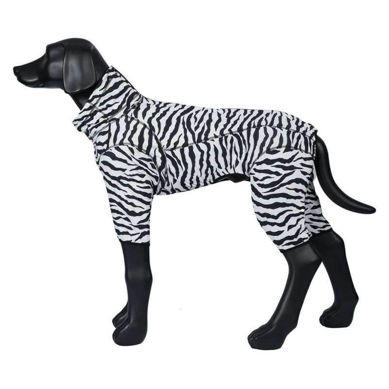 Rukka Pets Zebra Dog Overall-4