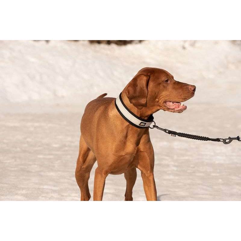 Rukka Pets Bliss Anti-Shock Extension-2
