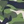 Colour : Cactus Camo
