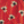 Colour : Clover Red