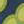 Colour : Spinning Flower Navy