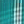 Colour : Exotic Plume Check