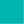 Colour : Turquoise