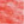 Colour : Neon Peach