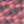 Colour : Rose Quartz