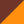 Colour : Shiny Tort/Brown