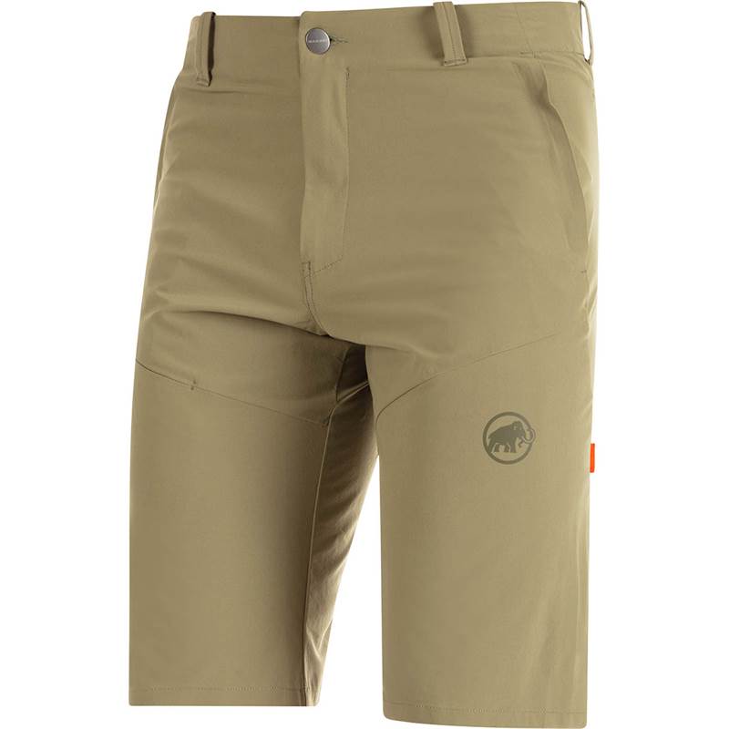 Mammut Mens Runbold Shorts-5