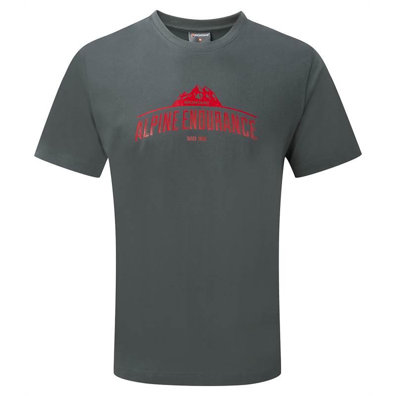 Montane Mens Alpine Endurance Tee Shirt-3