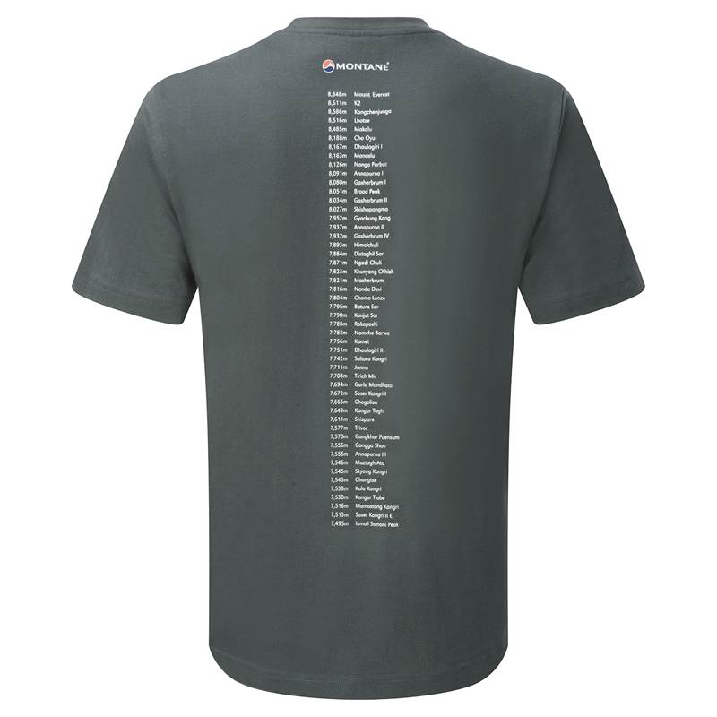 Montane Mens Alpine Endurance Tee Shirt-4