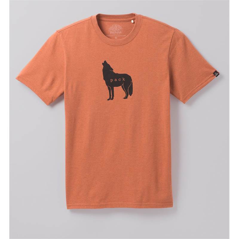 Prana Mens Wolf Pack Journeyman T-Shirt-2