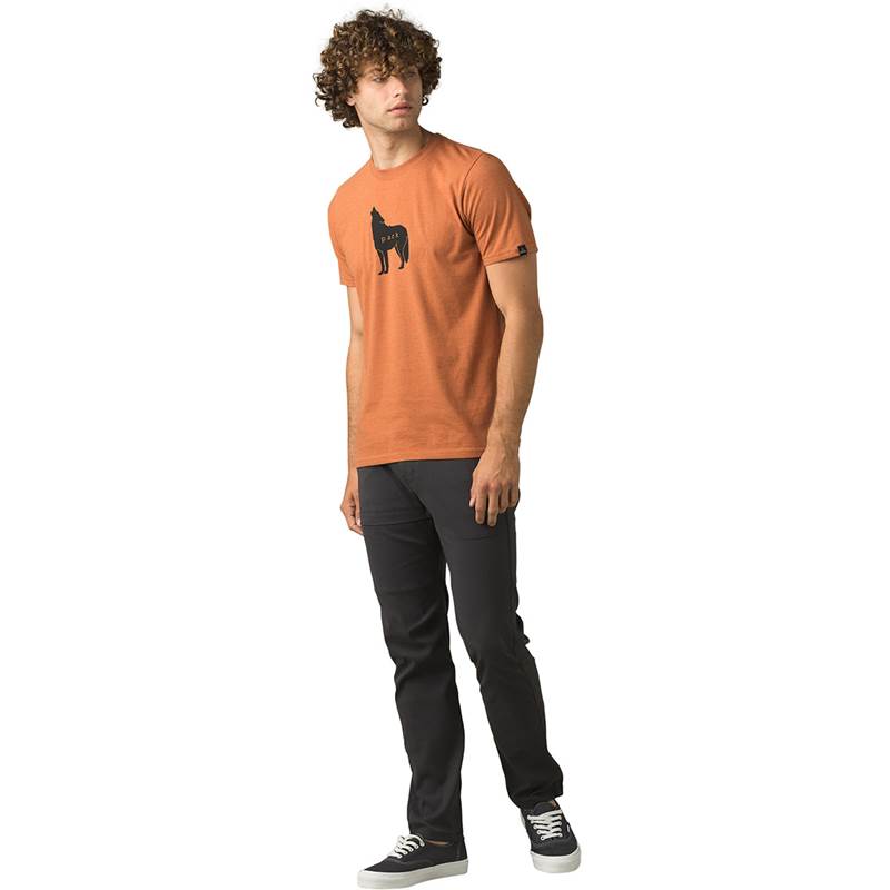 Prana Mens Wolf Pack Journeyman T-Shirt-5